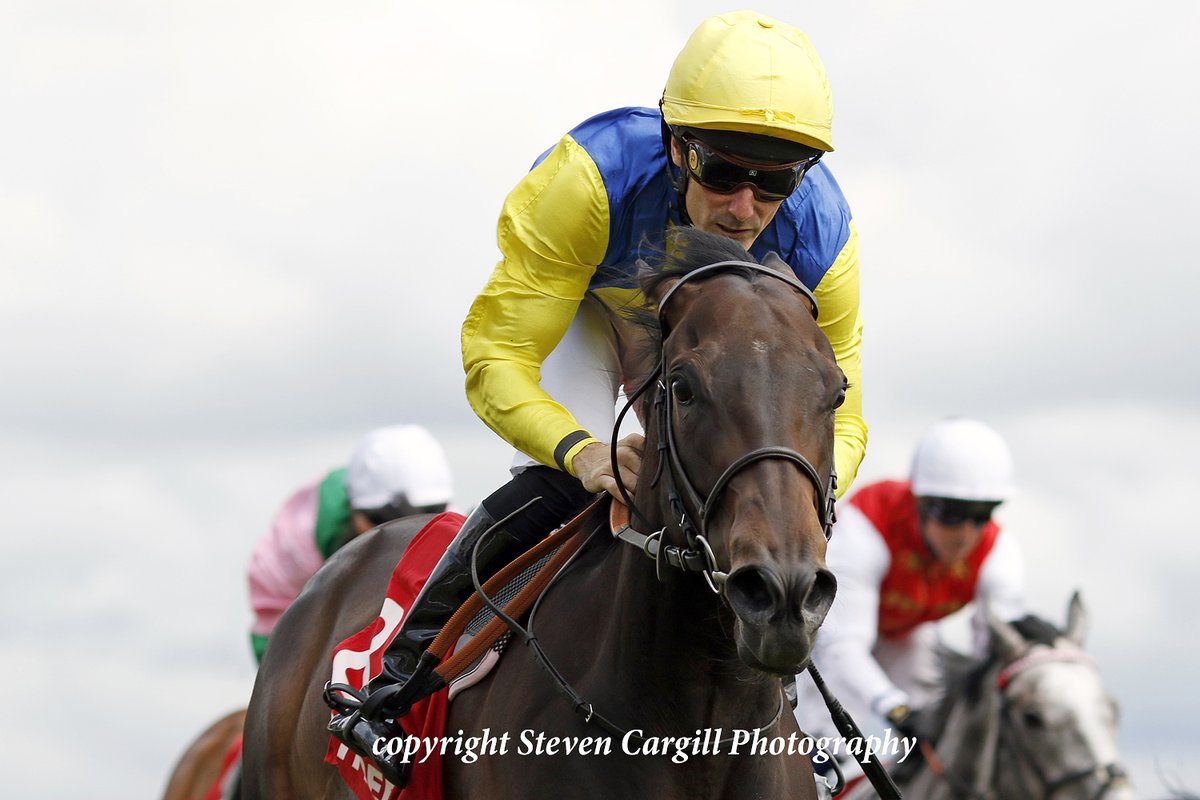 Steven Cargill (@steven_cargill) on Twitter photo 5th win for 4yo f BALMORAL LADY <a href="/PMulrennan/">Paul Mulrennan</a> in 5f LR Achilles Stakes <a href="/haydockraces/">Haydock Park Races</a> today for <a href="/InvincibleArmy0/">Invincible Army</a> Invincible Army <a href="/edwalkerracing/">Ed Walker Racing</a> 5th win for 4yo f BALMORAL LADY <a href="/PMulrennan/">Paul Mulrennan</a> in 5f LR Achilles Stakes <a href="/haydockraces/">Haydock Park Races</a> today for <a href="/InvincibleArmy0/">Invincible Army</a> Invincible Army <a href="/edwalkerracing/">Ed Walker Racing</a>