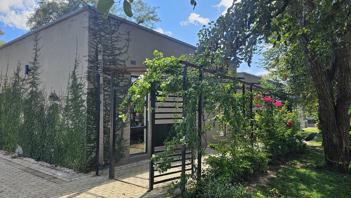 MutaleCColaco's tweet photo. Loving the progress on my living walls. 2.5yrs of growth on the ivy and 1.5yr on my pergola made from leftover steel  

 #womenwhobuild 
#selfbuildjourney https://t.co/kbE3C1yRIl