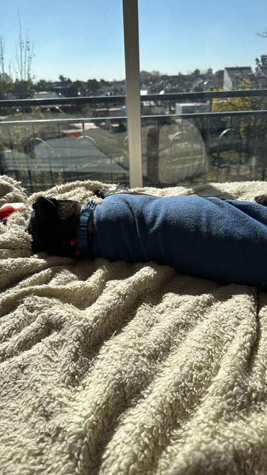 La siesta de Lorenzo💙❤️por favor… esto se respeta