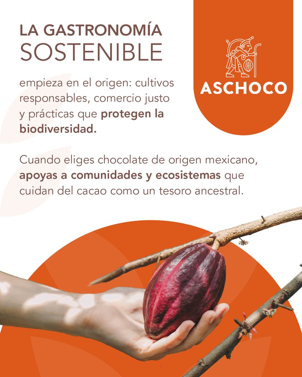Impulsar prácticas sostenibles en la gastronomía no es solo una tendencia: es una responsabilidad con el entorno, los productores y los consumidores.

#DíadelaGastronomiaSostenible