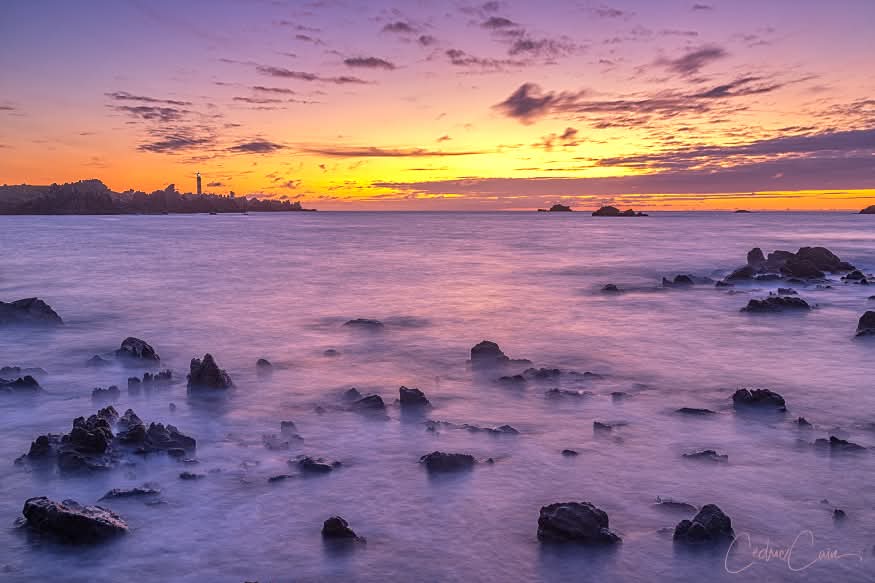 cain_cedric's tweet image. Fin de journée sur l&apos;île d&apos;Ouessant.
#toutcommenceenfinistère #pennarbed #ouessant #iledouessant  #merveillesdefrance #longexposure #creachlighthouse #creach #phare #phareducreach #iroise #merdiroise  #lumieresdouessant #cedriccain #bzh #breizh #magnifiquebretagne