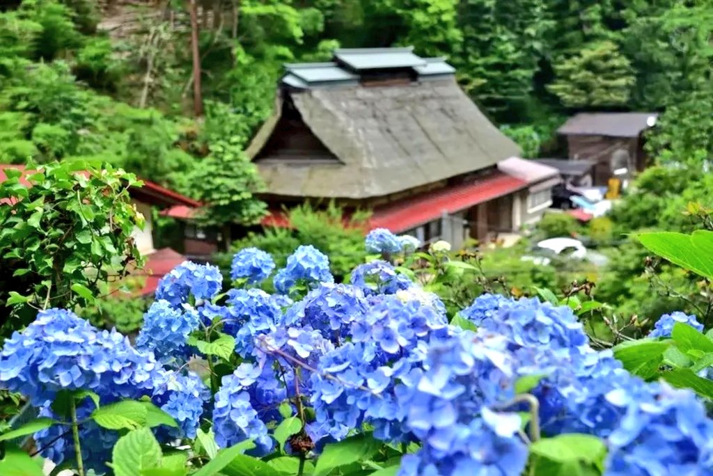 HM: Trip✈ (@hitoshimisaka2) on Twitter photo Tokyo’s Hydrangea Mountain is a spot of beauty created by one son’s love for his parents【Photos】 soranews24.com/2025/05/31/tok… via <a href="/RocketNews24En/">SoraNews24</a> #SoraNews24
#Trip #Tokyo #Japan Tokyo’s Hydrangea Mountain is a spot of beauty created by one son’s love for his parents【Photos】 soranews24.com/2025/05/31/tok… via <a href="/RocketNews24En/">SoraNews24</a> #SoraNews24
#Trip #Tokyo #Japan