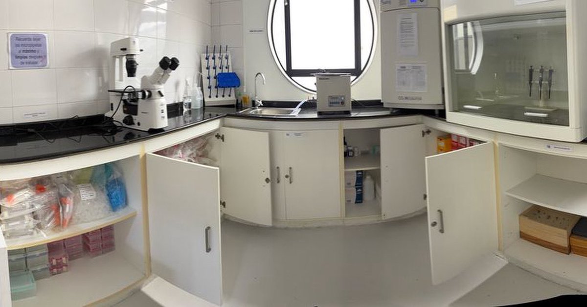 #ProyectoCultivoCelular #TeamGIBEAUISEK: Varios meses de trabajo y planificación nos han permitido establecer nuestro laboratorio de cultivo celular que nos permitirá evaluar el potencial citotóxico de compuestos de plantas de la Región Amazónica del Ecuador en…