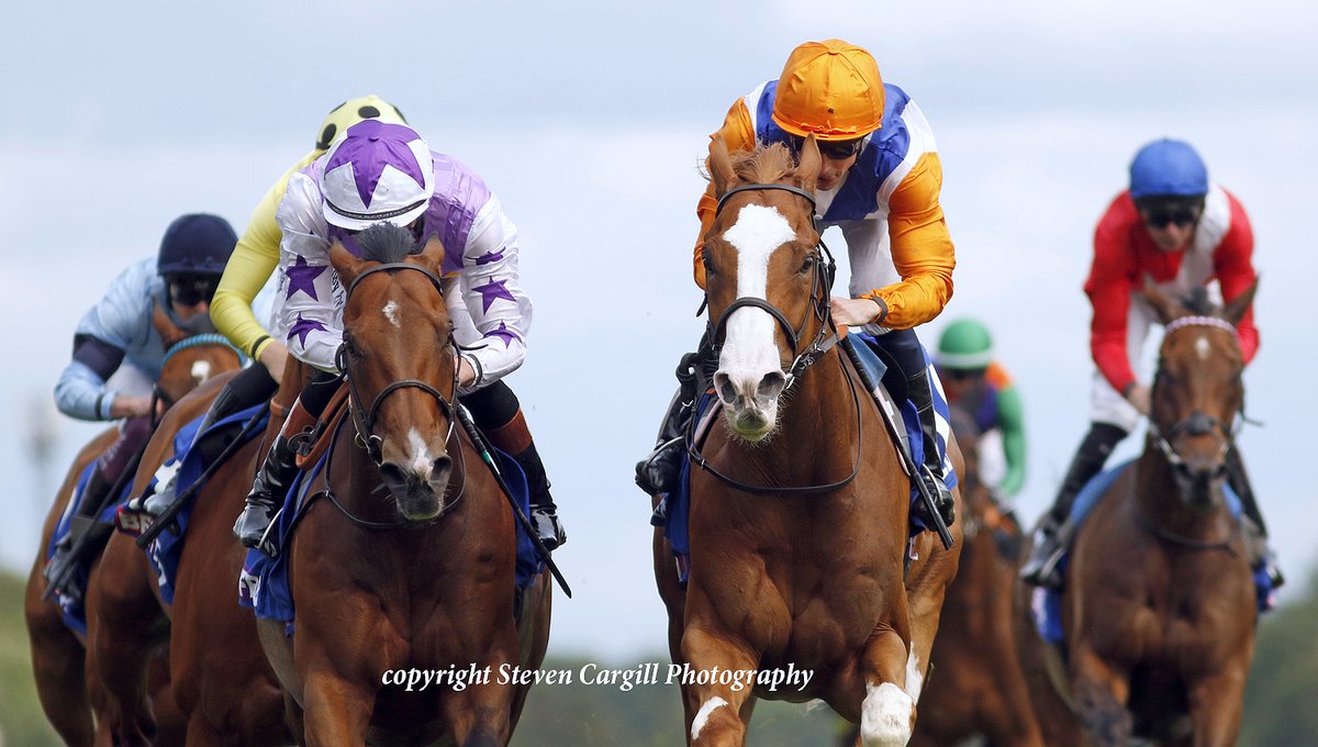 Steven Cargill (@steven_cargill) on Twitter photo 3rd win for 4yo g TEN BOB TONY in 7f G3 John Of Gaunt Stakes <a href="/haydockraces/">Haydock Park Races</a> today for <a href="/DarleyEurope/">Darley in Europe</a> Night Of Thunder <a href="/edwalkerracing/">Ed Walker Racing</a> 3rd win for 4yo g TEN BOB TONY in 7f G3 John Of Gaunt Stakes <a href="/haydockraces/">Haydock Park Races</a> today for <a href="/DarleyEurope/">Darley in Europe</a> Night Of Thunder <a href="/edwalkerracing/">Ed Walker Racing</a>