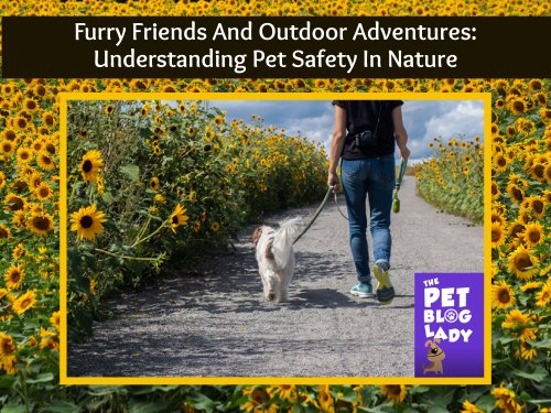 ThePetBlogLady's tweet image. Furry Friends And Outdoor Adventures: Understanding Pet Safety In Nature bit.ly/3TPcgFE #ticks #pets #mosquitos #fleas