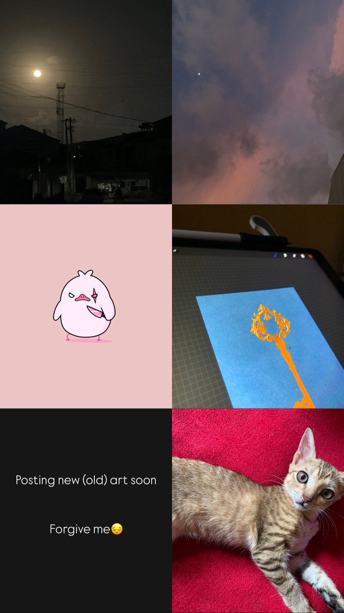 May💛

Beautiful chaos