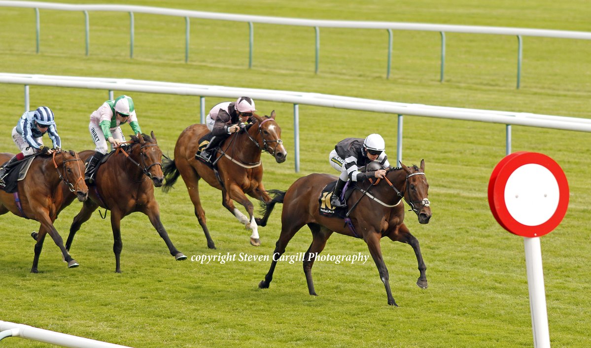 Steven Cargill (@steven_cargill) on Twitter photo 2nd win for 3yo OOLONG POOBONG <a href="/connorbeasley9/">Connor Beasley</a> in 7f fillies handicap <a href="/haydockraces/">Haydock Park Races</a> today for <a href="/BallylinchStud/">BallylinchStud</a> Make Believe <a href="/ebethellracing/">Edward Bethell Racing</a> 2nd win for 3yo OOLONG POOBONG <a href="/connorbeasley9/">Connor Beasley</a> in 7f fillies handicap <a href="/haydockraces/">Haydock Park Races</a> today for <a href="/BallylinchStud/">BallylinchStud</a> Make Believe <a href="/ebethellracing/">Edward Bethell Racing</a>
