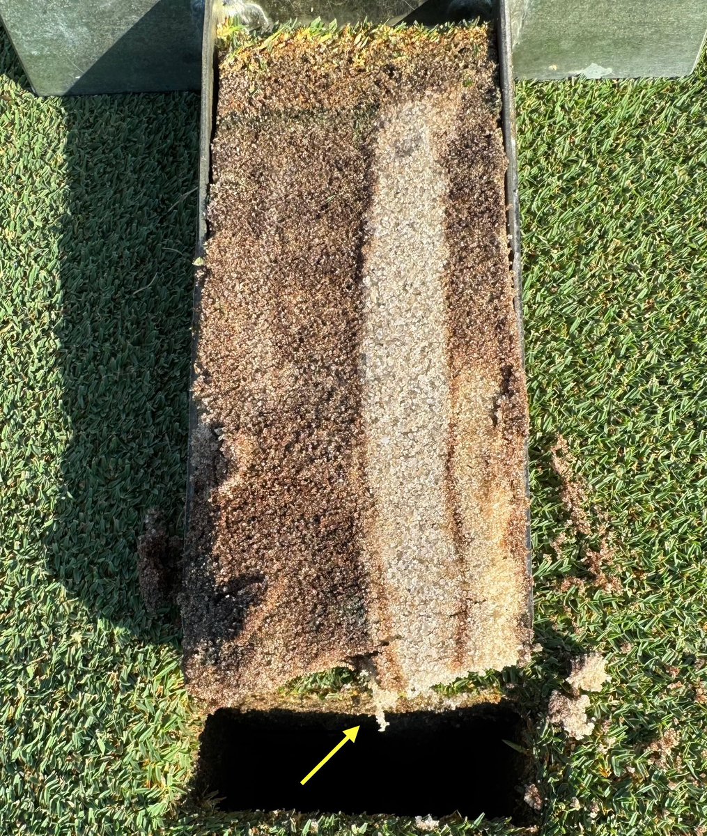 TloweTgrass's tweet image. Gotta love a nice little #peekabooroot at the end of a drill & fill channel from last summer!