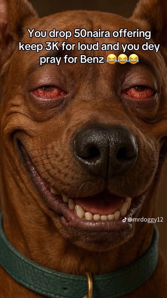 boye_engr's tweet image. Una Dey