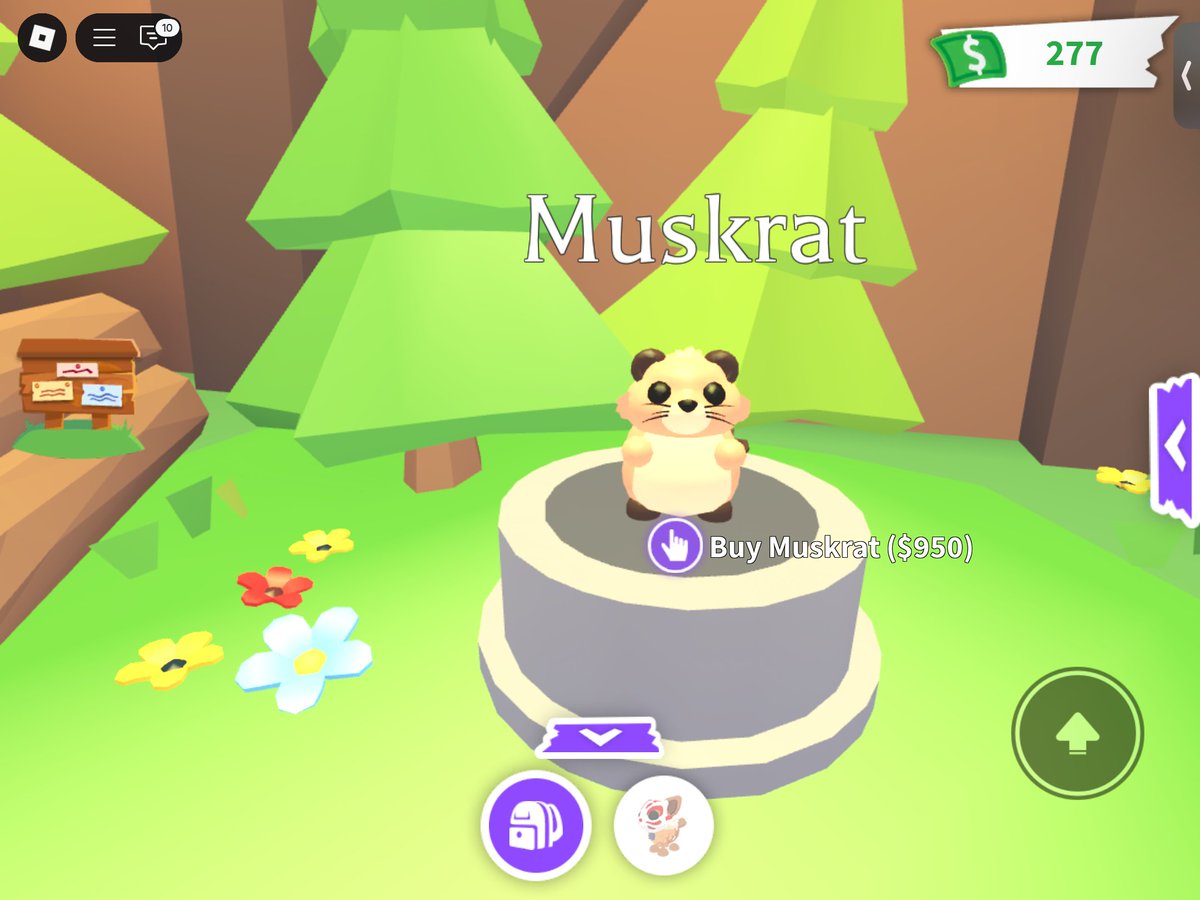 MUSKRAT GW

RULES:
MUST FOLLOW ME AND @Katharin_minion 
LIKE AND RT
COMMENT “CUTIE!!!”

EXTRAS:
FOLLOW: <a href="/capybaraman86/">Kapy - TADC in UK Theatres!!! 🎉🎉🎉🔥🔥🎊🎊</a> <a href="/GrandpaHamAM/">Grampy</a> <a href="/GrandpaWilliam_/">Grandpa William 👴🏻</a> 
LIKE AND RT PINNED
QUOTE WITH TAGS
FOLLOW MY ROBLOX ACCOUNT (cookiefan80412) w/ proof

THATS ALL GOOD LUCK!