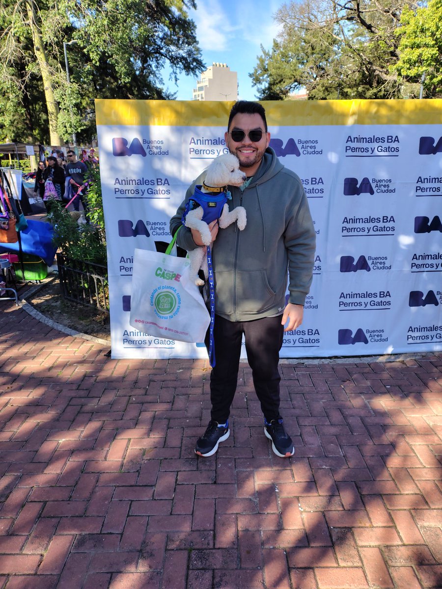 Animales BA tweet media