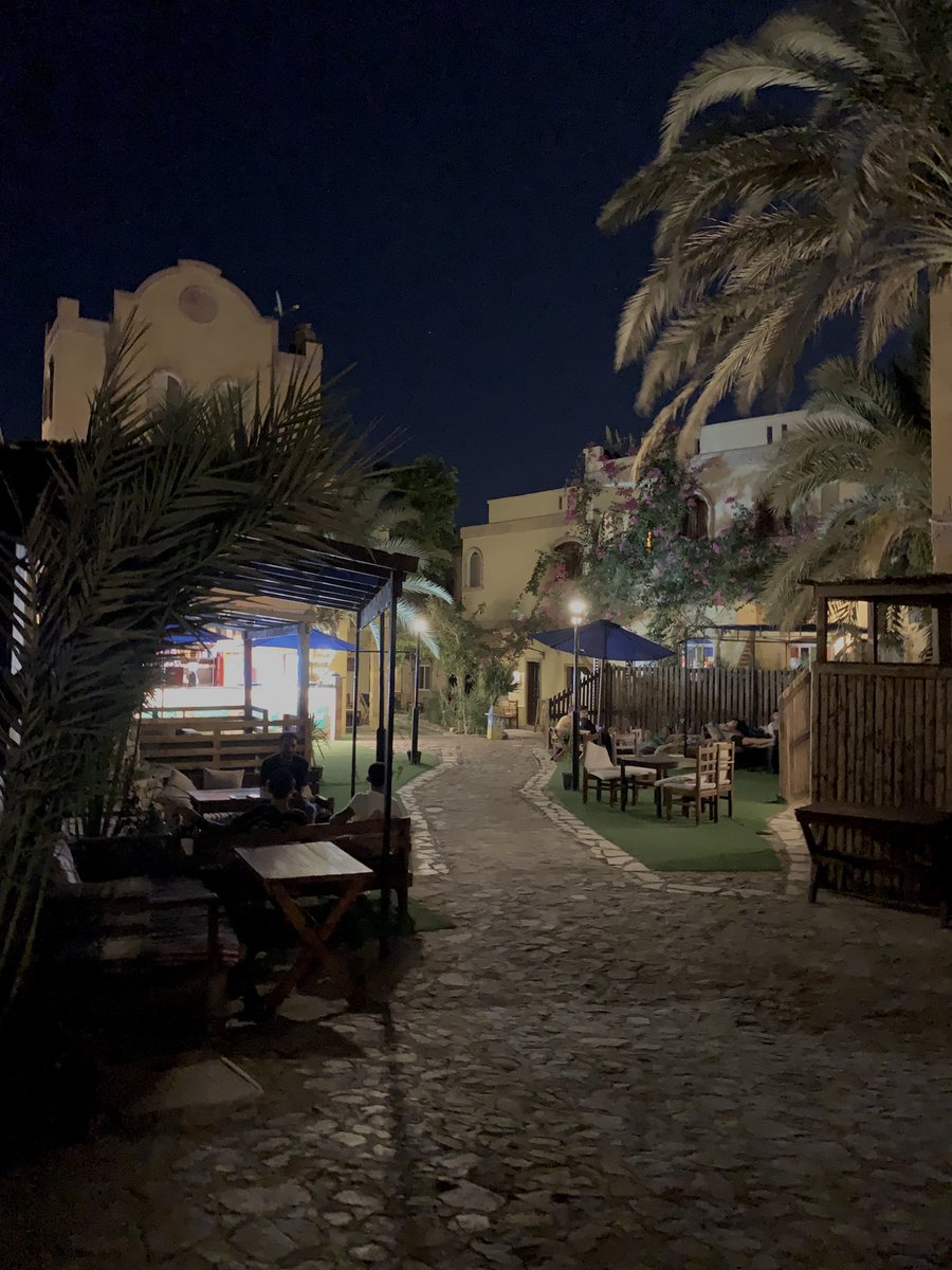 🐈‍⬛ (@mminnaahh) on Twitter photo 