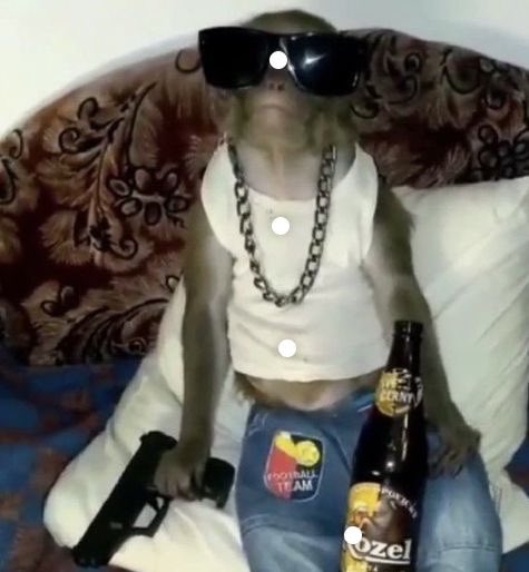 RICHMONKEY777's tweet photo. BUY GIGO THE MONKEY 💶🔫🐒 #GIGO  
#MemeCoinSeason  
#MonkeyOnSolana  
#NoRugZone  
#CryptoComedy  
#ShitcoinVibes  
#SolanaZoo https://t.co/0PntlaP9Qv
