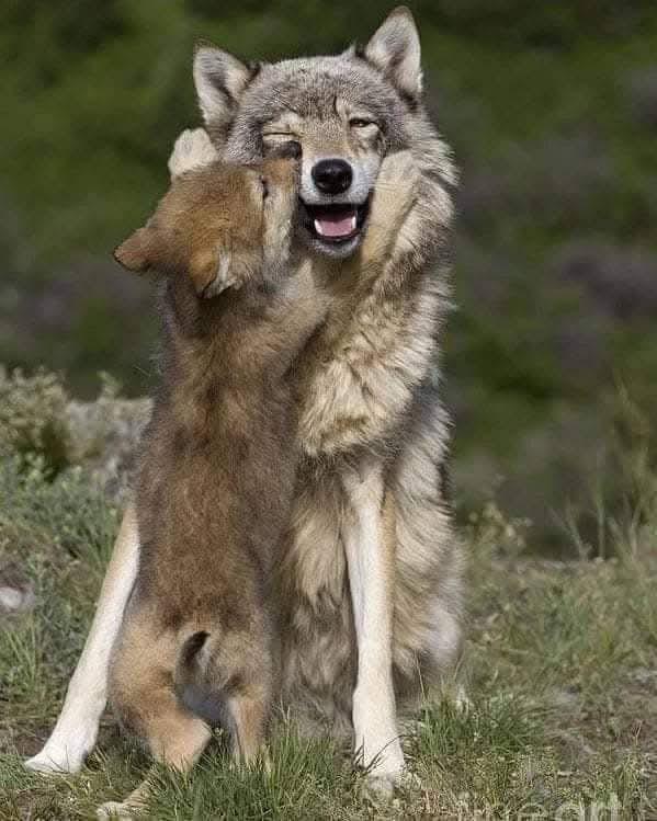 Don’t move around without giving some love ❤️