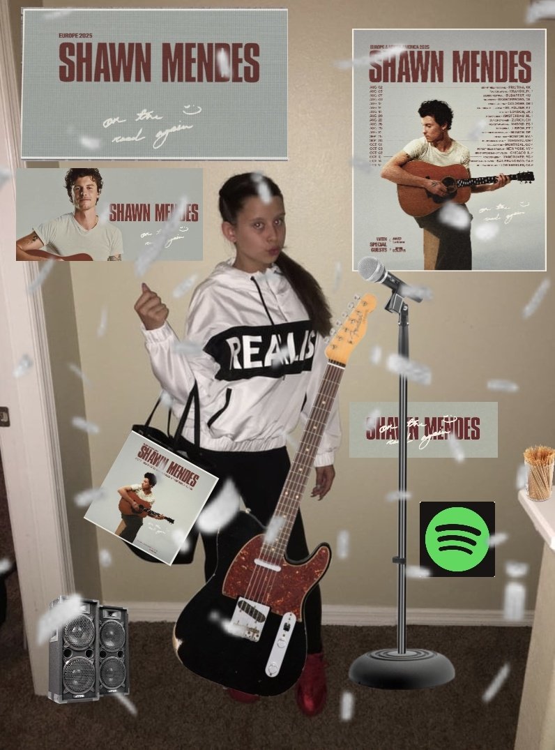 Shawn Mendes on the road again tour be like: