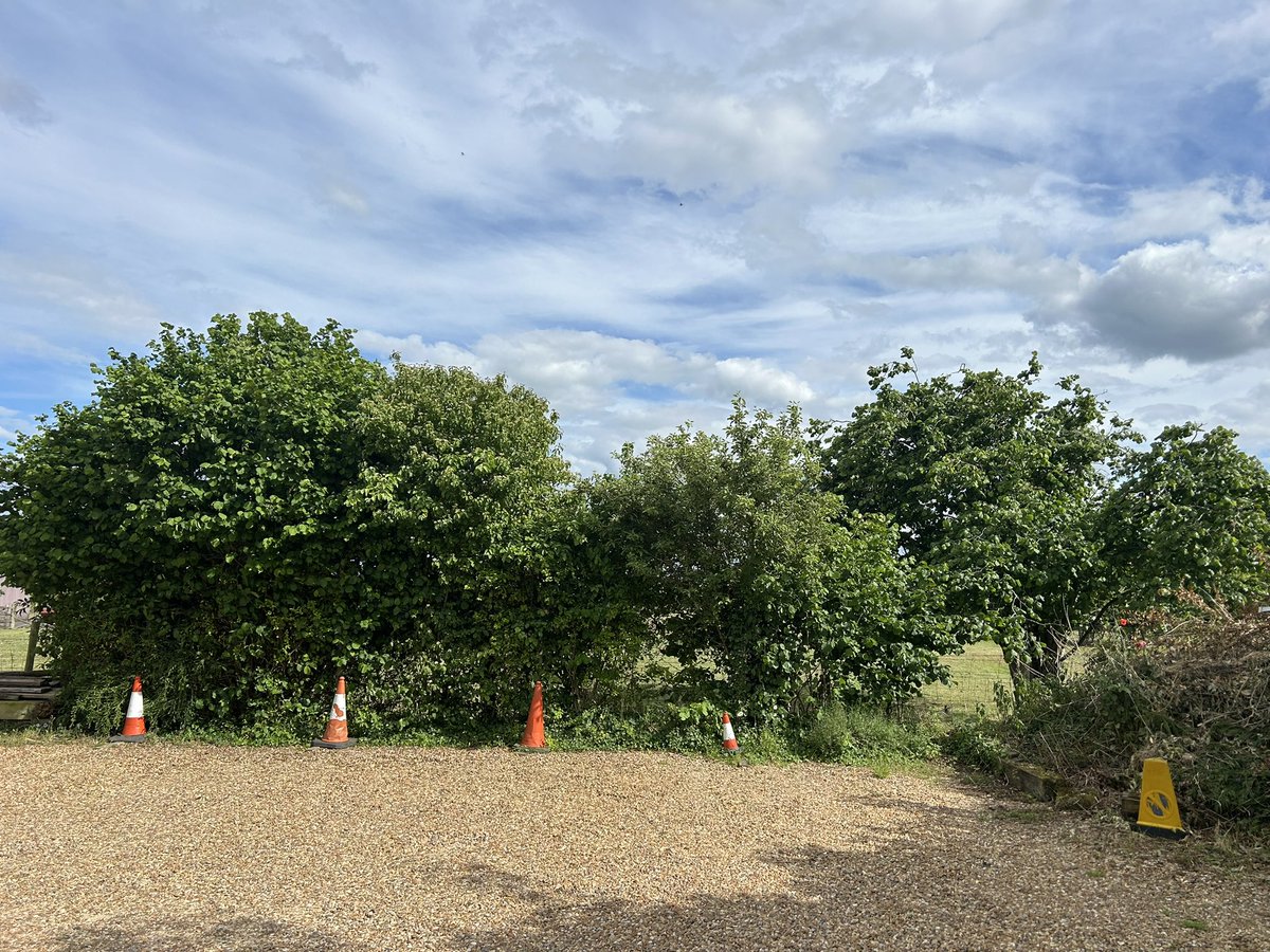 What a week! 
Leaving do’s, flowers, plants, cards, presents, hugs, tears, smiles, a Christmas jumper! and a final walk out of my wonderful office with an amazing view. I’ll miss you <a href="/bedsrcc/">Beds RCC 💚💜</a> but you know you’ll always be in my heart 💚💜 See you soon! 
#byebye #seeyousoon❤️