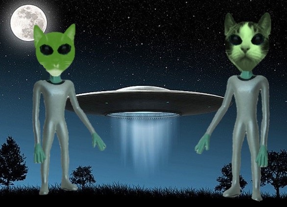 Kif: You don't suppose we use too many photographs of ourselves do you? 
Morbo: No, no. Worked for the Ayatollah
