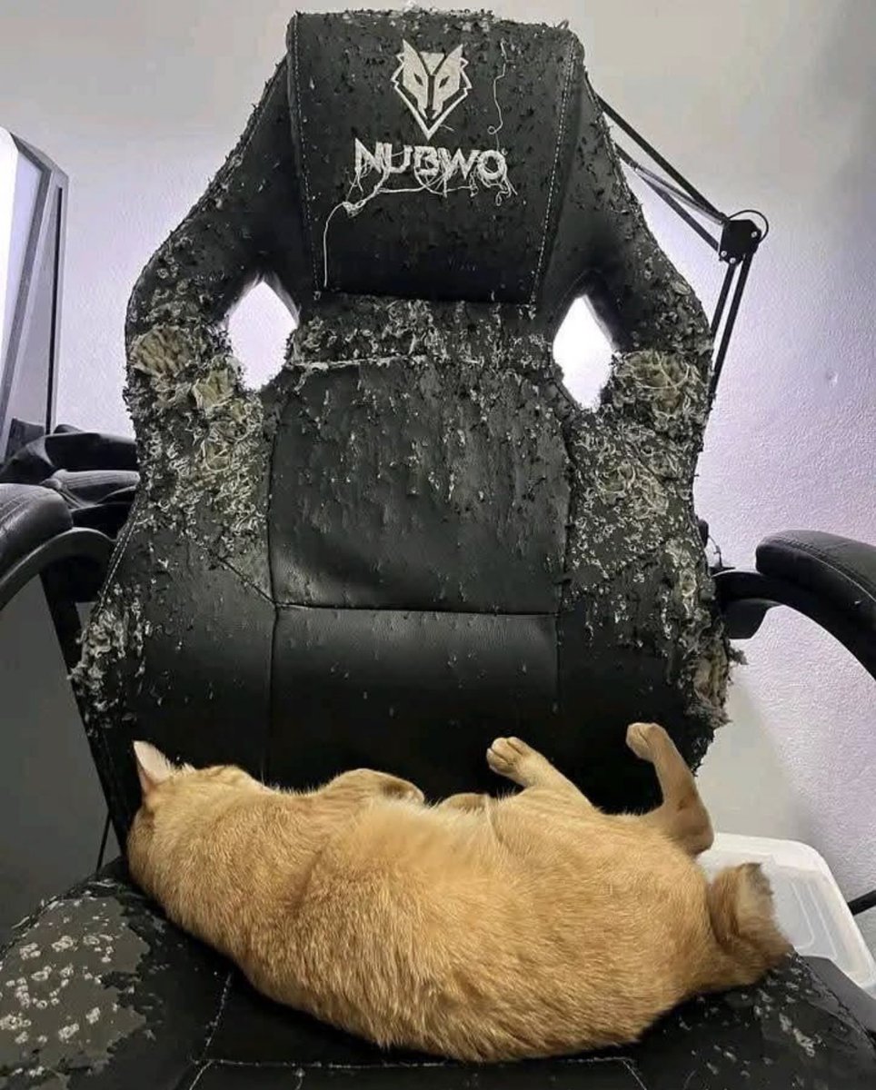 artista dormiu na arte