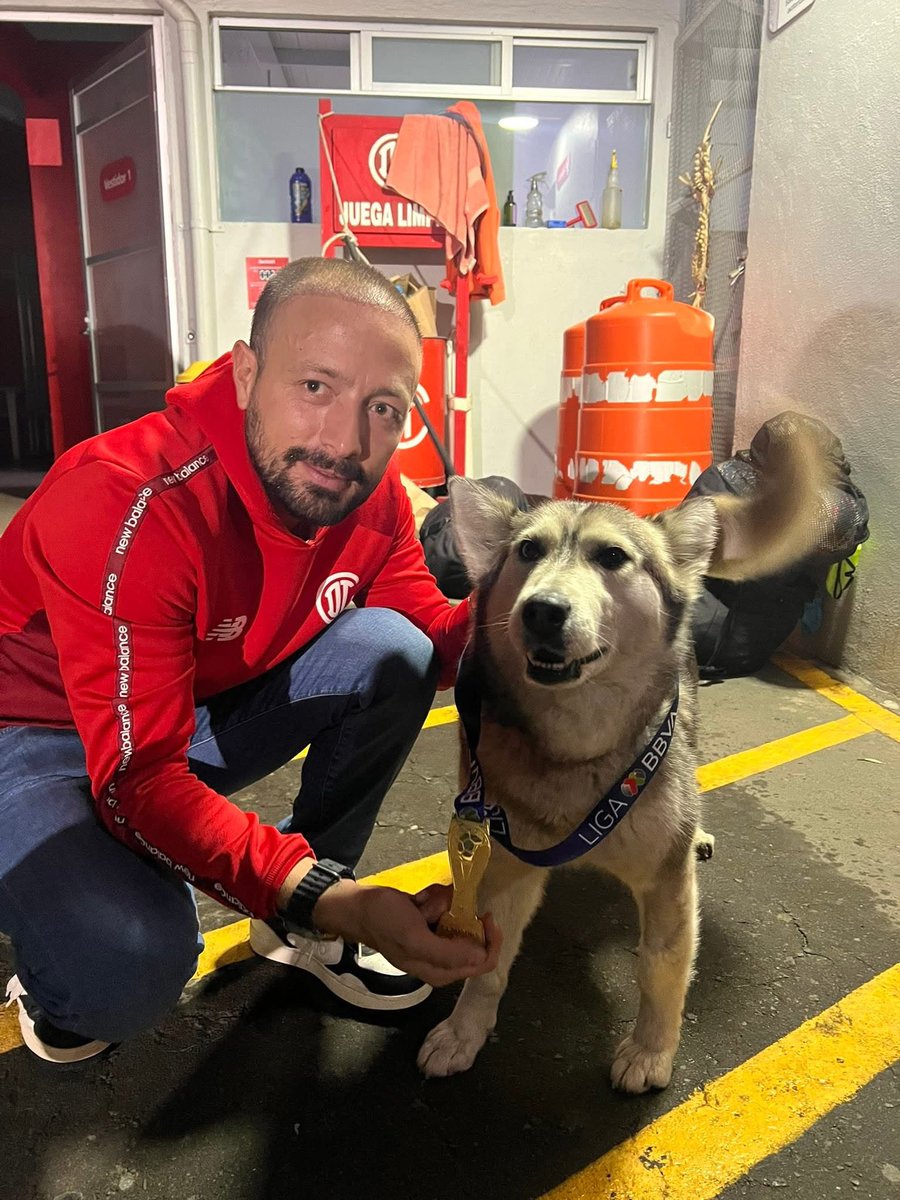 Dilo con perritos (@diloconperritos) on Twitter photo A mediados de Enero de este año, apareció en las instalaciones del <a href="/TolucaFC/">Toluca FC</a> en Metepec, esta hermosa husky abandonada, con una mirada triste, que suplicaba por un hogar, el club decidió adoptarla y sin pensarlo le pusieron de nombre "Once" , los jugadores, cuerpo técnico y A mediados de Enero de este año, apareció en las instalaciones del <a href="/TolucaFC/">Toluca FC</a> en Metepec, esta hermosa husky abandonada, con una mirada triste, que suplicaba por un hogar, el club decidió adoptarla y sin pensarlo le pusieron de nombre "Once" , los jugadores, cuerpo técnico y