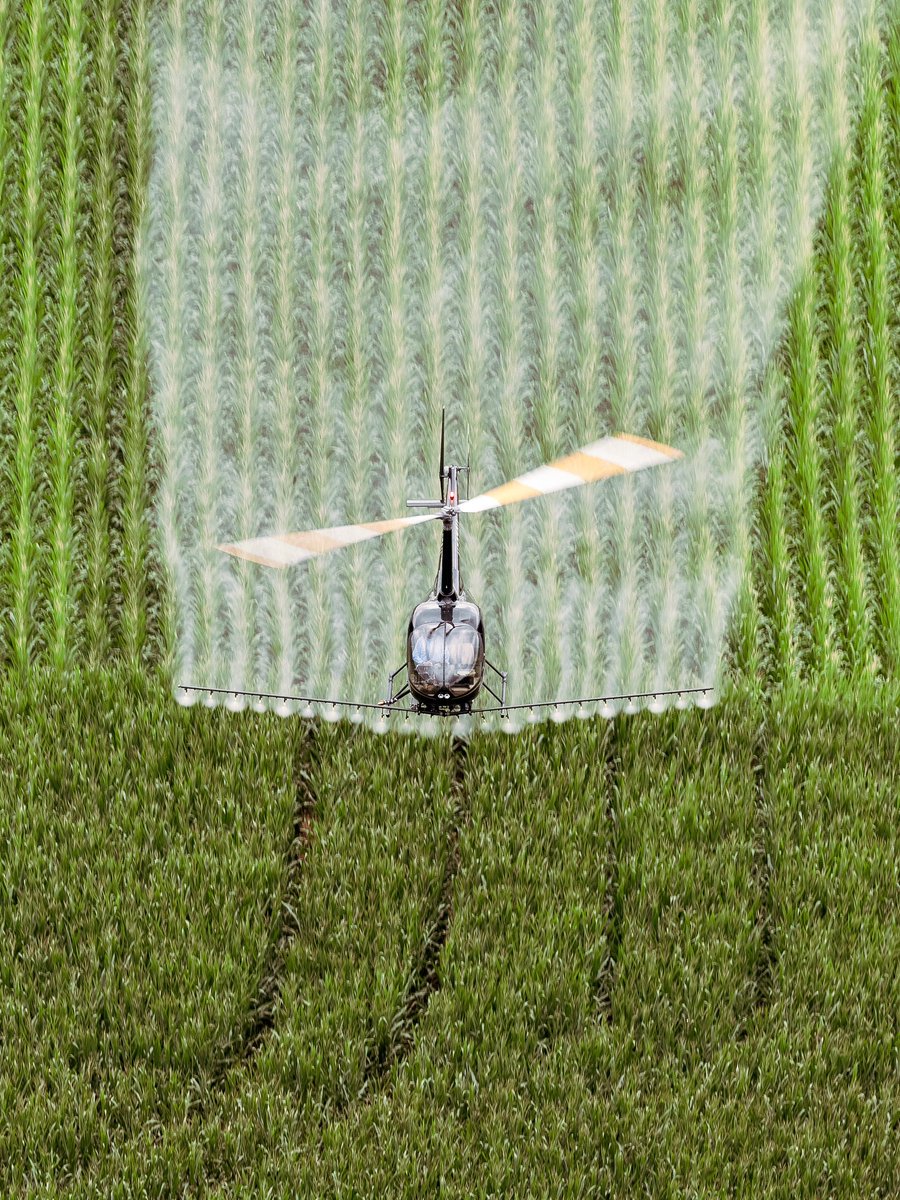 Robinson_Heli's tweet photo. The world’s hardest-working helicopters.
Day in and day out, Robinsons support diverse industries around the world, empowering operations of all sizes to do more.
#climbhigher #robinsonhelicopter #r66 #r44 #verticalreference #agriculture https://t.co/65sqysAzPZ
