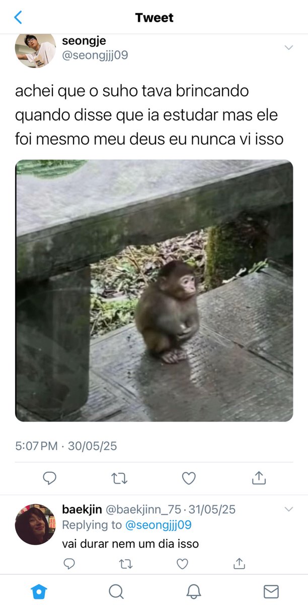 mari tweet media