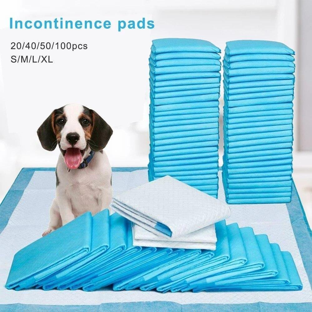 Barkstreets's tweet image. Pet Training 1 Bag Pads Super Absorbent Leak-proof Pee Pads

barkstreets.com/pet-training-1…

#dogpeepads #puppypads #dogtraining #pottytraining #dogessentials #petproducts #dogcare #housebreaking #puppysupplies #pettraining