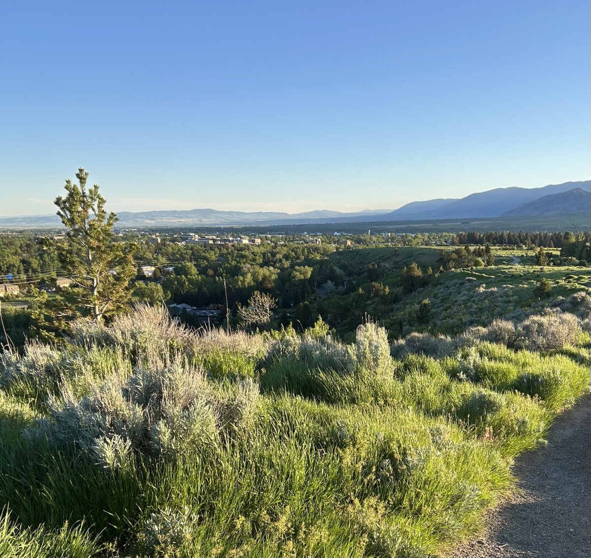 Looking north.