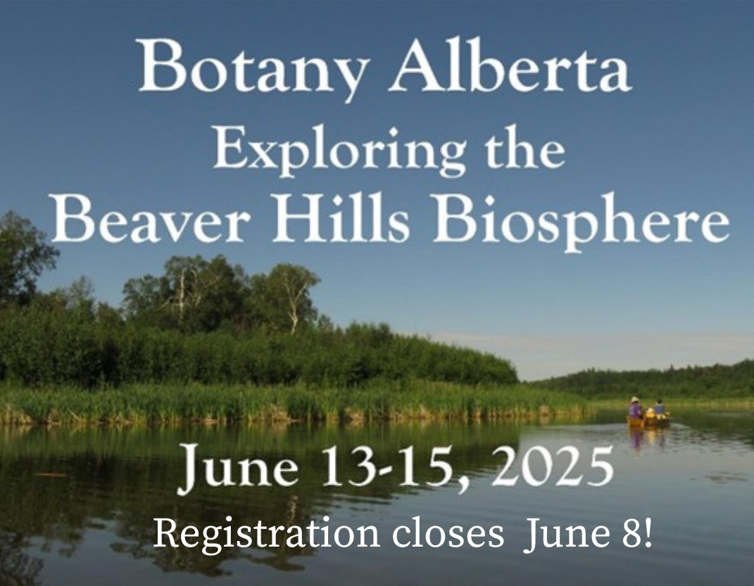 Botany Alberta 2025 is fast approaching. The registration deadline is June 8, so register now here: anpc.ab.ca/?p=11282
This event is free for all to attend, including 5 guided hikes along various trail systems throughout the biosphere.