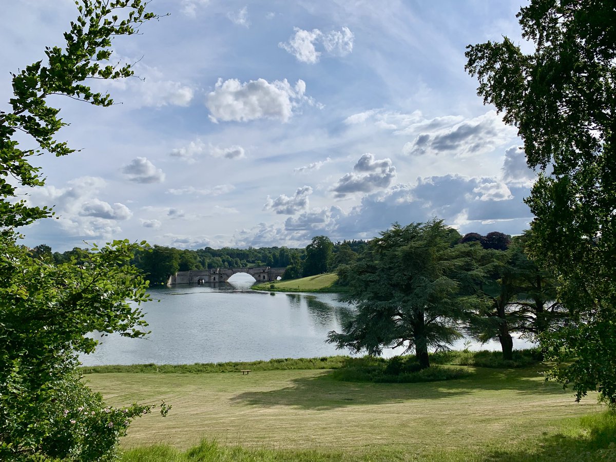 jackiewatson05's tweet image. A glorious day off! 🥰 A spot of gardening, then a local stroll…