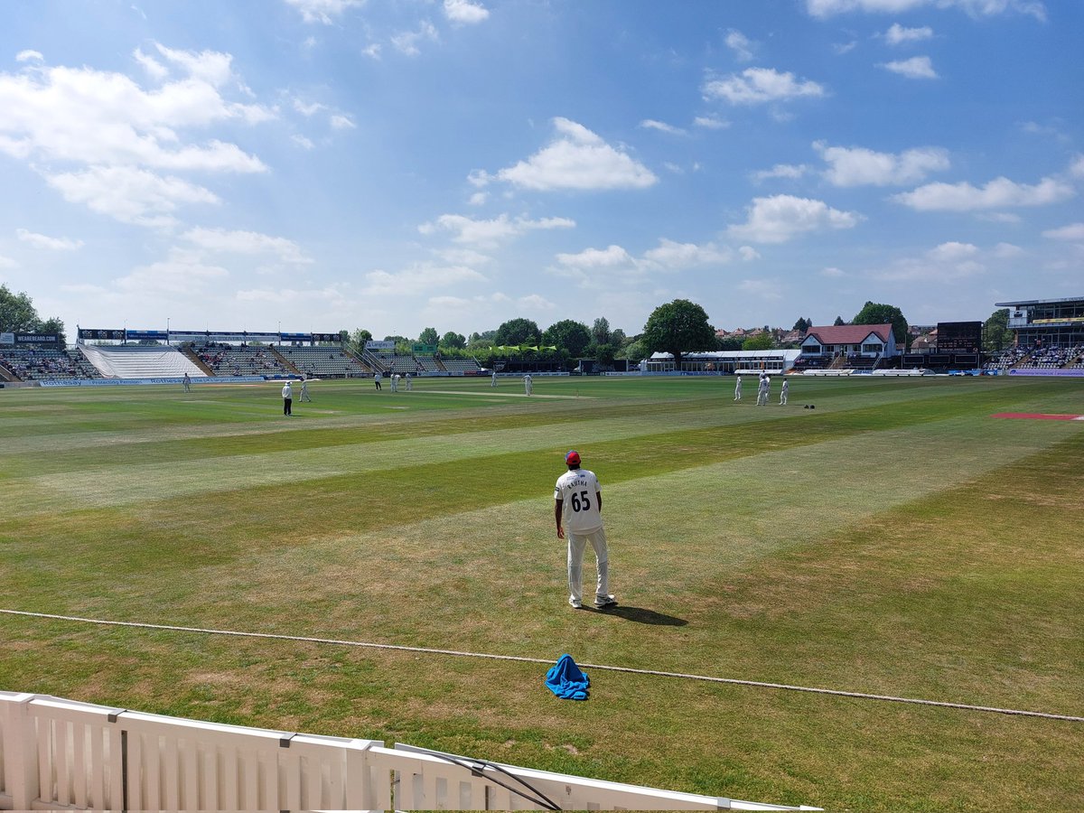 Peter Hill tweet media