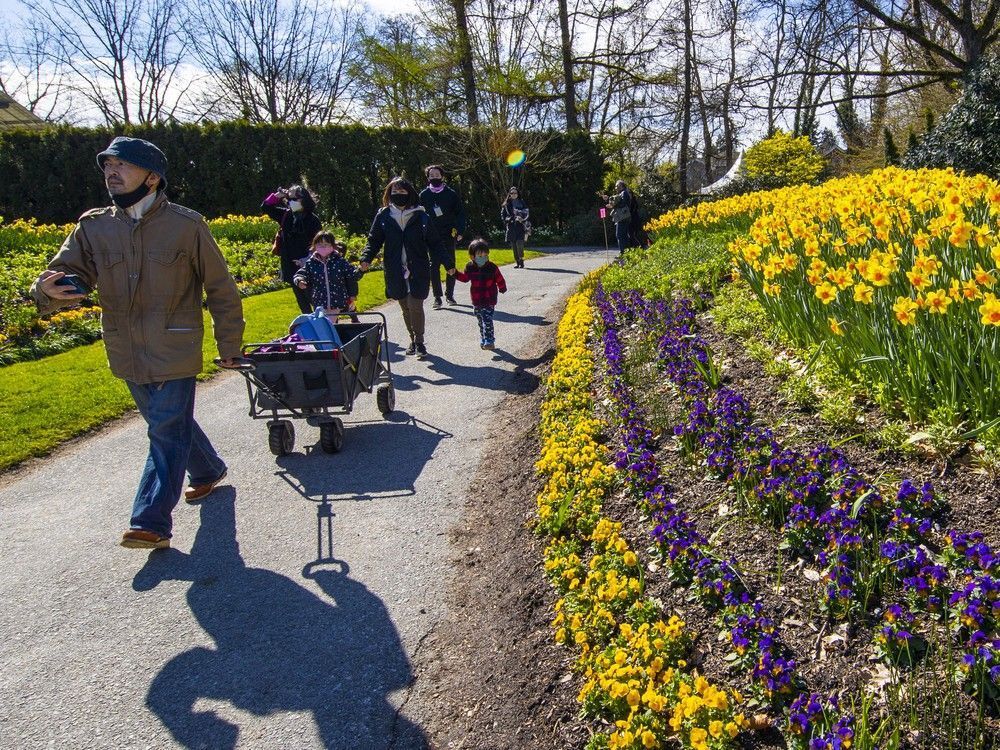 Vancouver's park board eyes free access to city's most popular gardens for Indigenous visitors theprovince.com/news/vancouver…