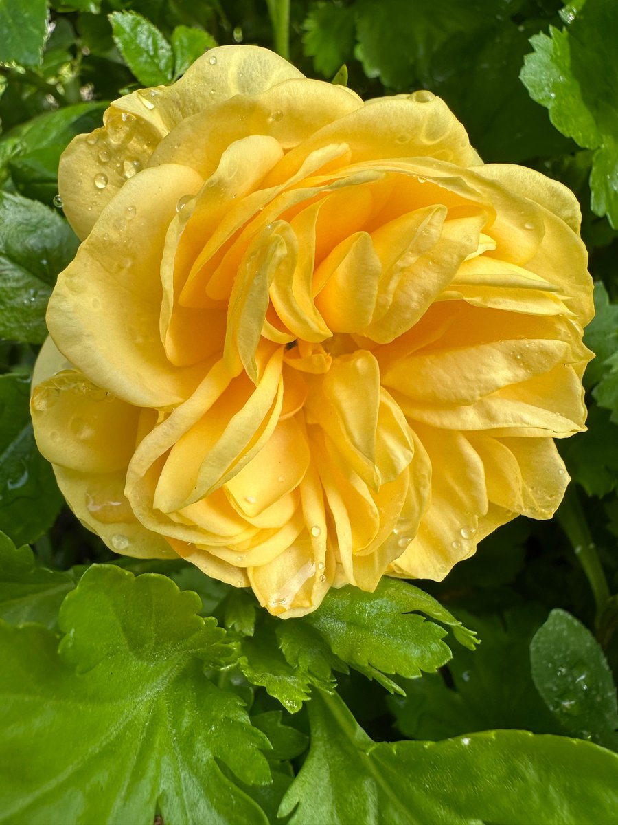 𝑺𝒊𝒍𝒏𝒂 Joy 🦋 (@silnajoy) on Twitter photo 