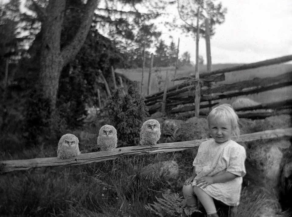 A little girl with three owls, 1925.
