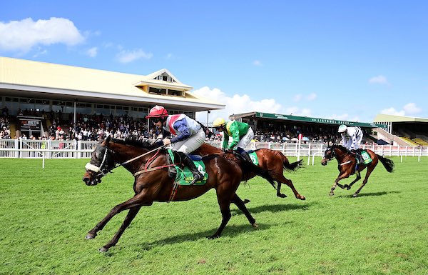 Irish QR Association (@qrirish) on Twitter photo A Nod To Getaway <a href="/Alan_OSullivan1/">Alan o sullivan</a> winner of todays JT McNamara series Hcap Hurdle <a href="/ListowelRaces/">Listowel Races</a>
📸 healyracing.ie A Nod To Getaway <a href="/Alan_OSullivan1/">Alan o sullivan</a> winner of todays JT McNamara series Hcap Hurdle <a href="/ListowelRaces/">Listowel Races</a>
📸 healyracing.ie