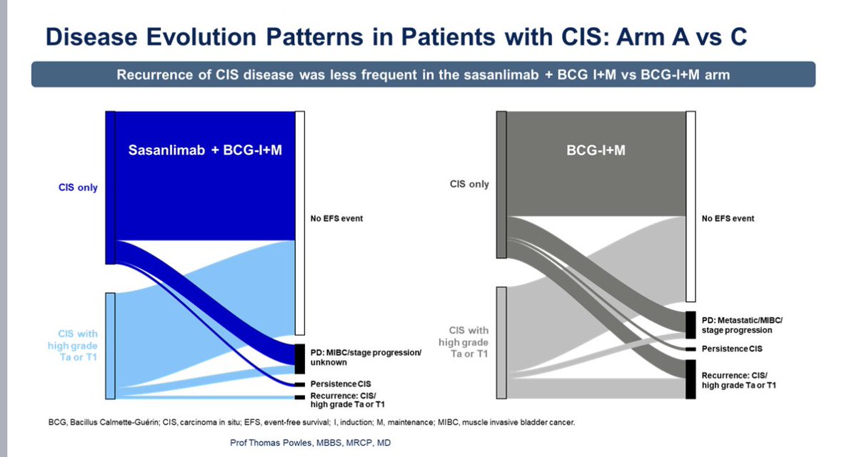 1/2 CREST is a +ve R3 for EFS (HR=0.68) in BCG naïve high risk NMIBC. #ASCO25 we explore the CIS (HR=0.53) and T1 (HR=0.63) subgroups.   While some enrichment occurred it was incomplete &amp; while CIS pts had ⬇️ PD-L1 levels this was not linked to better outcomes in any subgroups.
