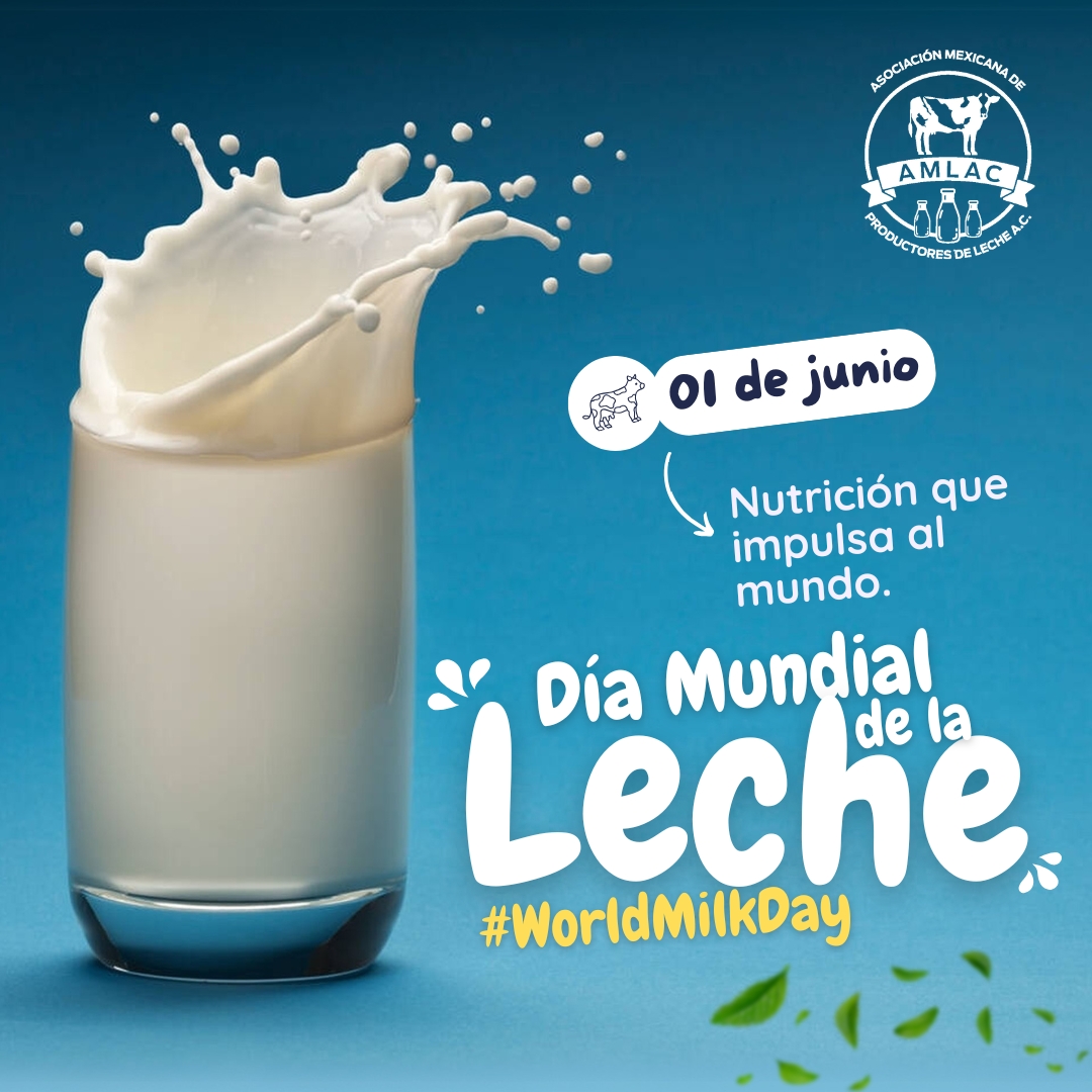 AMLAC_Mexico's tweet photo. 🥛🌎 Hoy celebramos el #DíaMundialDeLaLeche
Un alimento esencial que nutre, fortalece y apoya a millones de familias productoras
En AMLAC promovemos sus beneficios para la salud y la nutrición

❤️ Dale like si la leche también está en tu día a día
 #lecherosdeméxico #WorldMilkDay https://t.co/Du4HV6AKwj