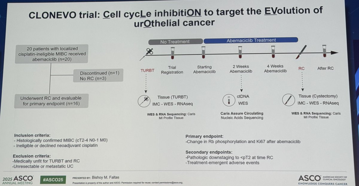 MikeSerzanMD's tweet photo. 🗣️Bladder Rapid Oral Abstracts #ASCO25

👉Abs4520: Dr @FaltasLab presenting #abemaciclib cis-ineligible MIBC on #CLONEVO 

🩺Clinical implications:
-  Preoperative #abemaciclib in MIBC demonstrated promising efficacy and tolerability while modulating cell cycle-dependent pathways
- Consider future studies in combination with ADCs (EV/P)

-------------------------------------------------------
n = 20  (16/20 males) 
5/20  cT4. 
3 didn't undergo RC,  1 withdrew consent.

💉abema (200mg BID PO)  x 4-8 weeks prior to RC

✅ pCR = 18.8% (3/16) 
✅ downstaging = 31.3% (5/16)

⚠️G3 TRAE  anemia (4/20), abdominal pain (1/20) and diarrhea (1/20)

🩻 Imaging Mass Cytometry of pre/post 👇 RB1 phosphorylation 
🧬 VAF 👇after abema by 20.5% (p = 0.04)
🧬 ctDNA tumor fraction(TF)👇after abema  by 28.6%
⭐️Pt w/ CCND1 amplification most significant decrease in TF (63.8%) highlighting CCND1 as a potential response biomarker

👥@DrRosenbergMSK @MichvdHeijden @FaltasLab @SuzanneColeMD @cnsternberg  @MattGalsky @bergsa83 @alantanmd @tompowles1 @DrKarieRuncie @BraunMDPhD @PGrivasMDPhD @shilpaonc @AmandaNizamMD @DrKarineTawagi @DrYukselUrun @ReneeSaliby @drenriquegrande @bavilima @DRBakaloudiMD @ReginaBarCar @crisbergerot @kidneycan @KidneyCancer @ASCO @OncoAlert @OncBrothers @OncLive @BladderCancerUS