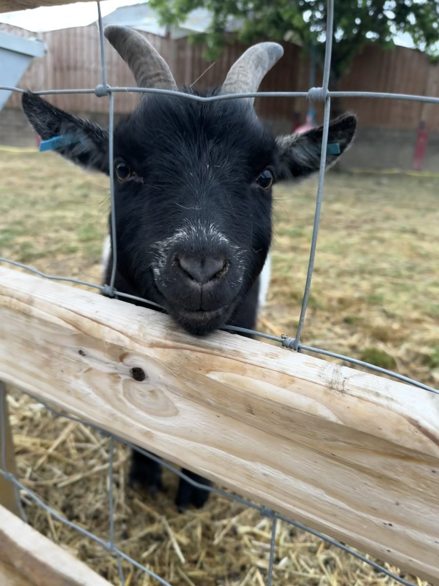 Dylan Vining tweet media