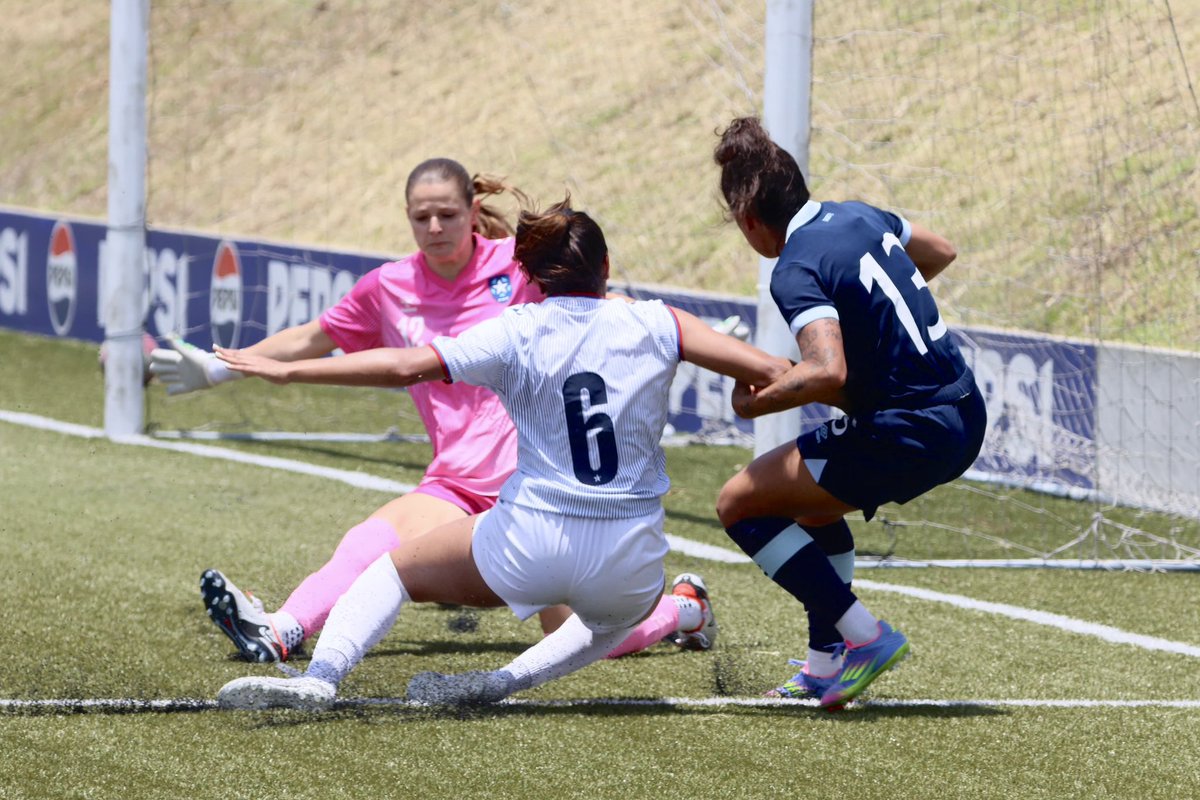 FFG🇬🇹 tweet media