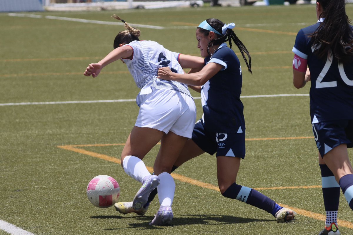 FFG🇬🇹 tweet media