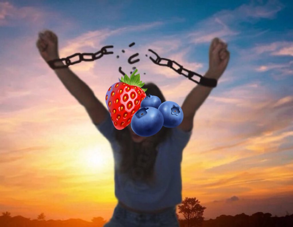 Berry SMP tweet media