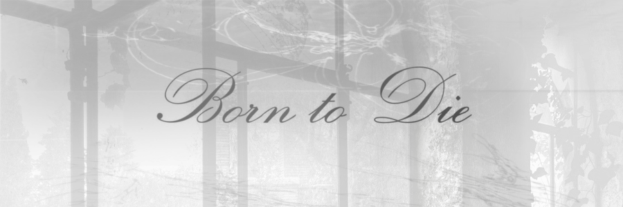 ᅠᅠᅠann ★ ̷ ‌ (@cococaats) on Twitter photo 