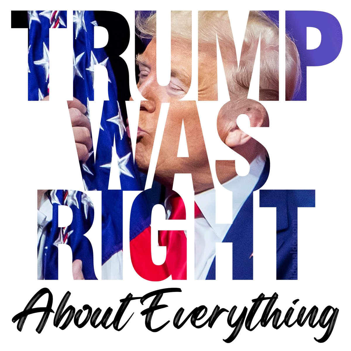 il Donaldo Trumpo (@papitrumpo) on Twitter photo 