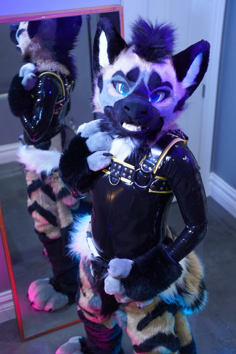 ✨Fluffy or Shiny✨ 

📸 <a href="/HashHyena/">Hash</a> 
📸 @/PalaceWolf_