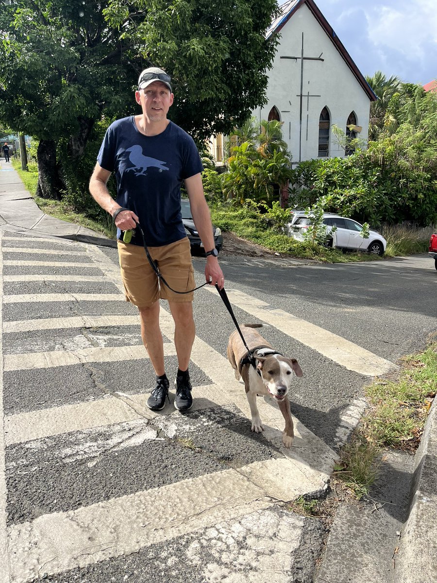 What do you do when you visit one of the most beautiful places in the world? Make sure you model sustainable voluntourism for your kids. Many thanks to the Animal Care Center of St. John, USVI for welcoming us!