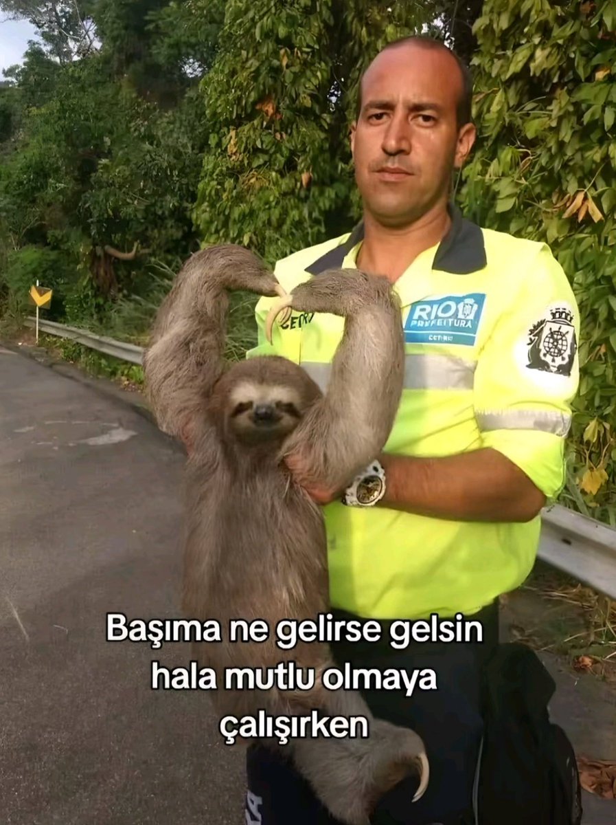 ANLIK (@anlikmod) on Twitter photo 