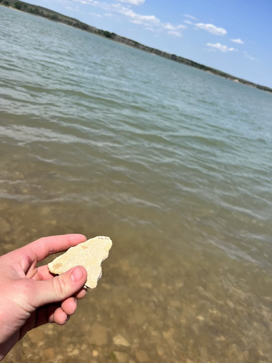 Joey Jawlock tweet media