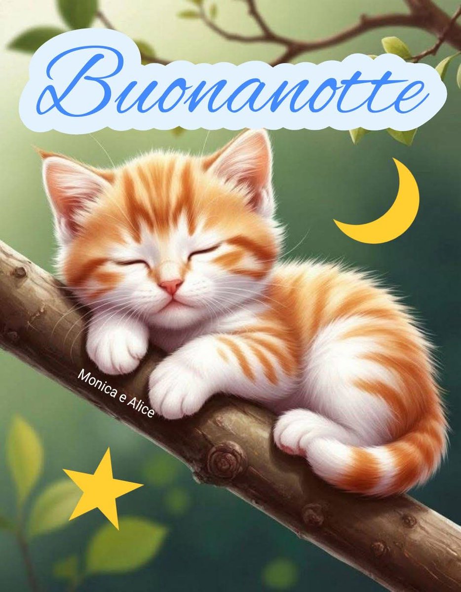 Buona e serena notte a tutti ⭐️⭐️⭐️