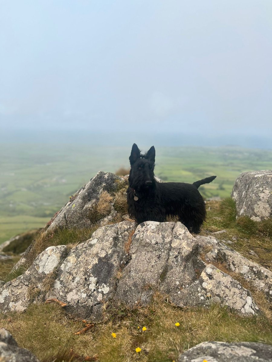 Mark Littlewood-Smart tweet media