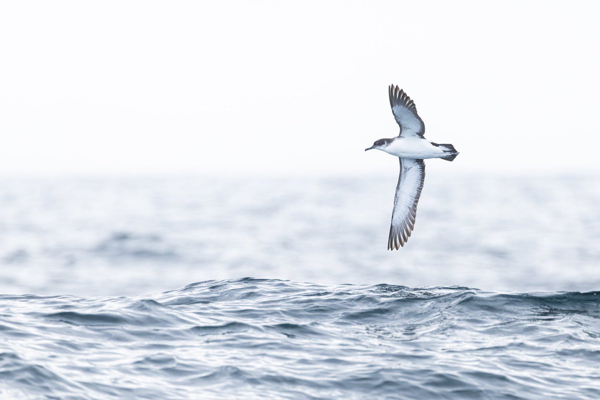 dunbar44's tweet image. A few days spent in west Cork,